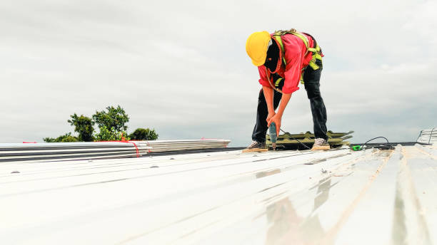 Best Storm Damage Roof Repair  in Calcutta, OH