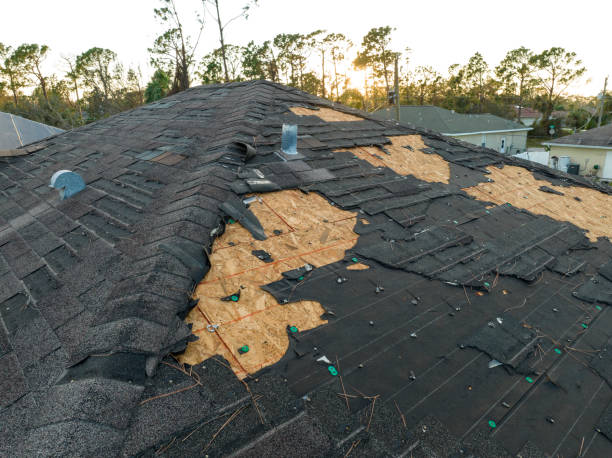 Best EPDM Roofing  in Calcutta, OH
